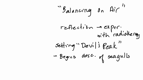 balancing-on-air-lynne-bryer-this-poem-arose-during-a-course-of-radiotherapy-at-devils-peak-bright-blustery-days-bring-seagulls-in-to-float-against-a-green-so-steep-it-seems-to-hang-there-reduced-by-5