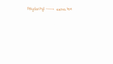 polydactyly-is-an-autosomal-dominant-genetic-disorder-that-causes-the-affected-individual-to-have-an-extra-digit-finger-or-toe-drag-the-correct-genotype-to-each-person-in-the-pedigree-use-d-98112