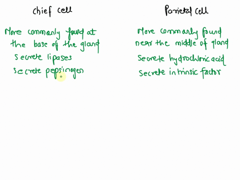 compare-the-cells-found-in-the-gastric-gland-of-the-stomach-6-pts-chief-cell-parietal-cell-more-commonly-found-at-the-base-of-gland-more-commonly-found-near-the-middle-of-gland-secrete-hydro-79023