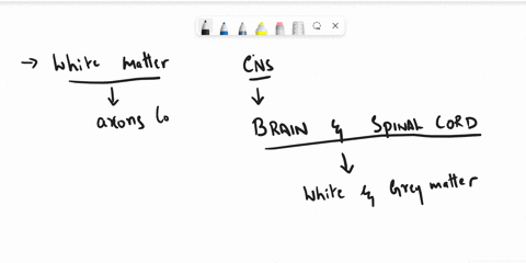 how-is-the-arrangement-of-grey-and-white-matter-different-in-brain-and-spinal-cordwho-ever-answer-this-question-i-will-definitely-mark-him-or-her-as-a-brainleast-42101