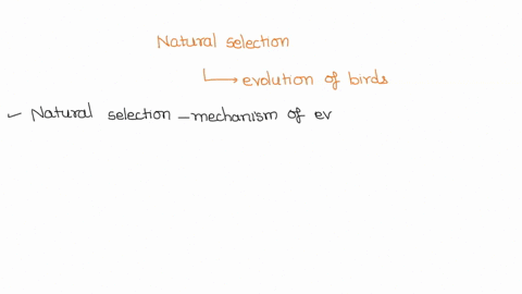 what-role-does-natural-selection-play-in-the-evolution-of-birds-63658