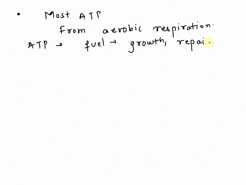 which-of-the-following-processes-produces-the-most-atp-a-aerobic-respiration-b-glycolysis-c-alcoholic-fermentation-d-lactic-acid-fermentation-49321