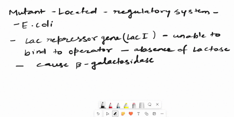 a-mutant-strain-of-e-coli-produces-galactosidase-in-both-the-presence-and-the-absence-of-lactose-where-in-the-operon-might-the-mutation-in-this-strain-be-located-00784