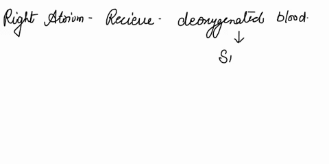the-fatty-apron-in-the-peritoneum-that-provides-protection-for-the-abdominal-contents-is-the-a-mesentery-b-mesocolon-c-omentum-d-falciform-ligament-00206