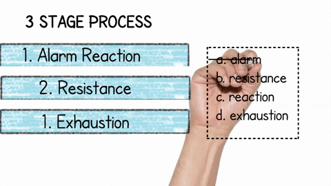 in-which-of-selyes-stages-is-death-a-possible-outcome-a-alarm-b-resistance-c-reaction-d-exhaustion-72443