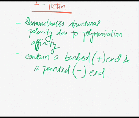 classify-these-characteristics-as-applying-to-either-factin-or-gactin-factingactin-answer-bank-demonstrates-structural-polarity-due-to-polymerization-affinity-is-a-complex-of-four-domains-bo-87997