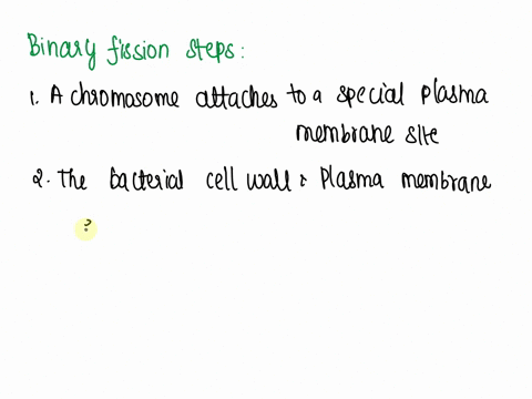 binary-fission-2-place-the-statements-in-the-correct-order-to-describe-the-process-of-binary-fission-the-chromosomes-are-pulled-apart-and-the-cytoplasm-divides-evenly-a-new-cell-wall-and-pla-34648
