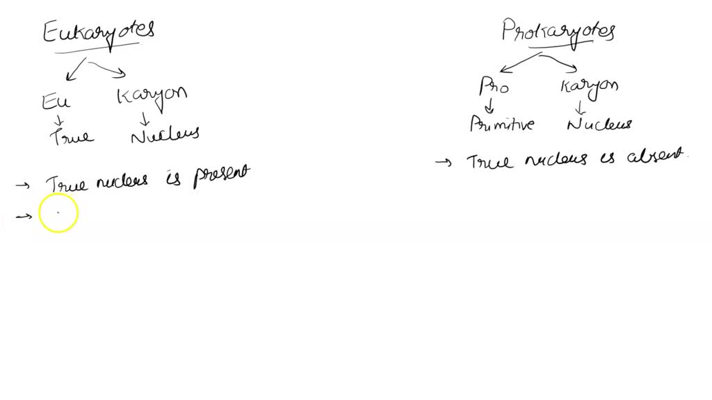 SOLVED: Which statement is true for all prokaryotic and eukaryotic ...