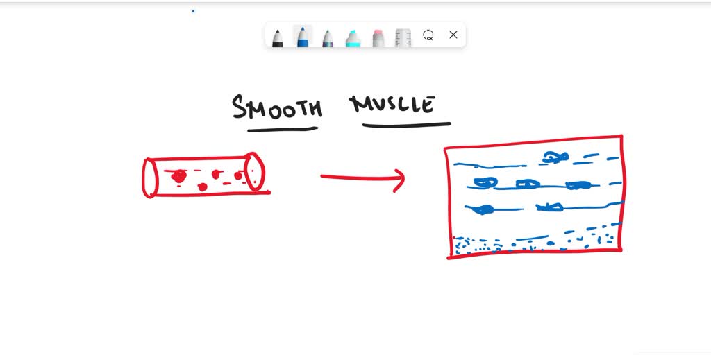 SOLVED: