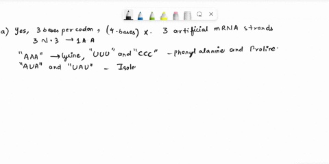 gx-there-may-be-question-sequence-about-this-chant-below-dna-non-cod-ne-atg-gcg-atc-acc-g6-g-tag-gtg-aac-tga-dna-cocing-mrna-note-introns-are-shaded-x-scientists-struggled-understand-how-fou-35428