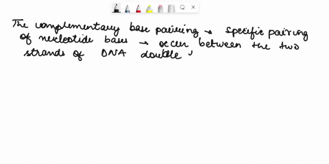 mu-according-nc-compicnnan-painng-_li-the-follcwwing-pairs-arc-possibl-cxccpe-4g_0-d4-u-44t-g34-3-tle-ciyake-hinds-dna-4unnt-nplicalien-rna-polymctane-6-atpave-2-dna-pelynkev-jidma-rcniic-sc-40307