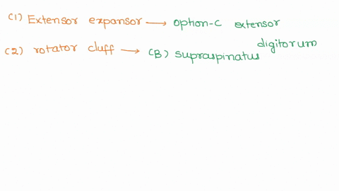1-the-extensor-expansion-0f-the-fingers-is-formed-by-the-tendon-of-the-extensor-carpi-radialis-longus-b-extensor-pollicis-longus-extensor-digitorum-d-extensor-pollicis-2-the-uppermost-part-o-36854