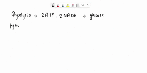 of-glucose-total-of-atp-are-false-molecule-die-truc-from-one-of-cell-respiration-46-atp-in-the-process-24atp-34-atp-back-to-nadt-which-required-for-atp-converts-nadh-pyruvate-lactate-the-ren-15746