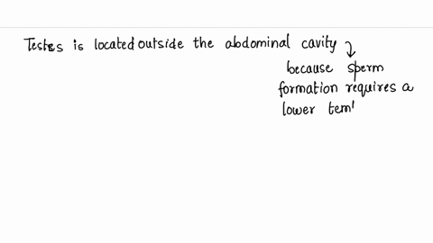 explain-significance-of-the-condition-in-which-the-testes-remain-suspended-inscrotum-outside-the-abdomen-15944