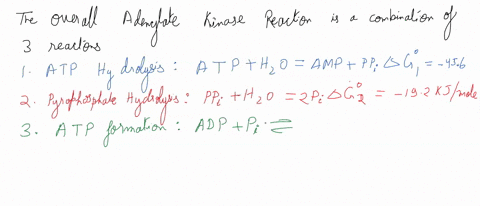 if-intracellular-atp-5-mm-adp-05-mm-and-pi-10-mm-calculate-the-concentration-of-amp-at-ph-7-and-25c-under-the-condition-that-the-adenylate-kinase-reaction-is-at-equilibrium-66885