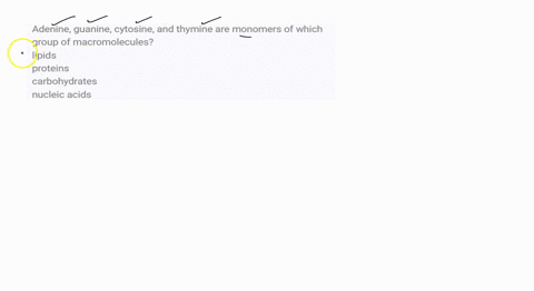 adenine-guanine-cytosine-and-thymine-are-monomers-of-which-group-of-macromolecules-lipids-proteins-carbohydrates-nucleic-acids-96454