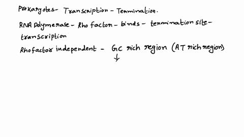 1-state-the-features-of-the-prokaryotic-transcription-termination-sequences-briefly-describe-the-termination-reactions-of-transcription-2-describe-transcription-initiation-and-control-83483