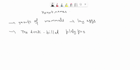 monotremes-such-as-the-duck-billed-platypus-are-oviparous-mammals-93356