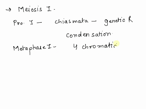 question-11-in-meiosis-sister-chromatids-are-separaled-producing-haploid-daughter-cells-homologous-chrorosome-pairs-are-separated-producing-diploid-daughter-cells-homologous-chromosome-pairs-03628