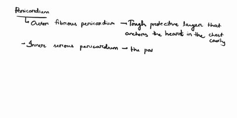 explain-the-layers-of-the-pericardium-and-the-heart-wall-02844