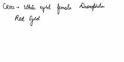 you-cross-a-white-eyed-female-drosophila-with-a-red-eyed-male-drosophila-what-is-the-ratio-of-red-to-white-eyes-expected-in-the-male-progeny-of-this-cross-40051