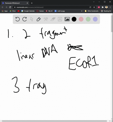 a-linear-piece-of-dna-has-the-following-ecori-restriction-sites-ecori-site-1-ecori-site-2-2-kb-4-kb-5-kb-this-piece-of-dna-is-cut-by-ecori-the-resulting-fragments-are-separated-by-gel-electr-23496