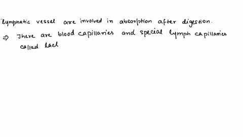 which-lymphatic-vessels-are-involved-in-absorption-after-digestion-21385