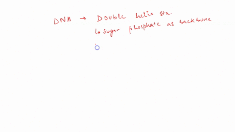 the-structure-of-dna-can-be-compared-to-that-of-a-twisted-ladder-which-of-the-following-statements-most-accurately-describes-dna-a-single-helix-with-nucleotide-bases-on-the-inside-forming-th-82981