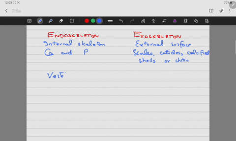 when-comparing-exoskeletons-and-endoskeletons-which-of-the-following-is-not-true-exoskeletons-provide-less-area-for-muscle-attachment-exoskeletons-provide-greater-protection-of-the-internal-31556