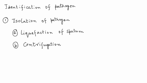 consider-a-scenario1-bacillus2escherichia3mycobacteriafor-essaya-describe-the-handing-of-the-specimen-and-how-the-infectious-agent-in-this-case-a-bacterial-pathogen-is-isolated-from-the-sput-85794