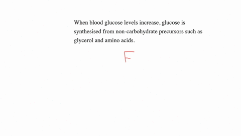 when-blood-glucose-levels-increase-glucose-is-synthesised-from-non-carbohydrate-precursors-such-as-glycerol-and-amino-acids