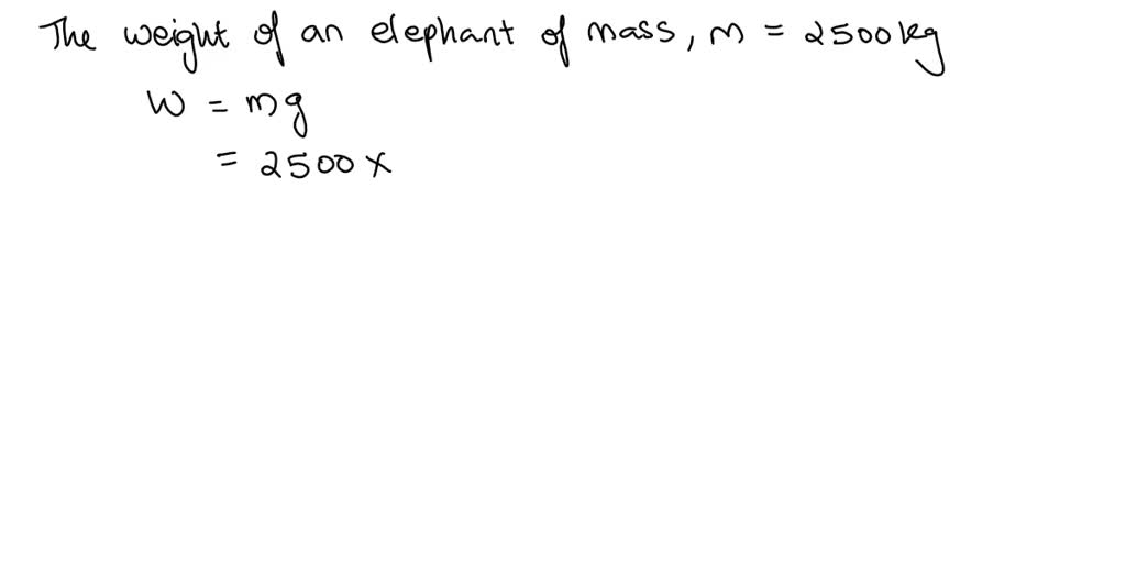 Calculating newtons 2024 from kg