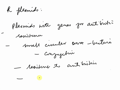 why-do-r-plasmids-matter-examples-60848