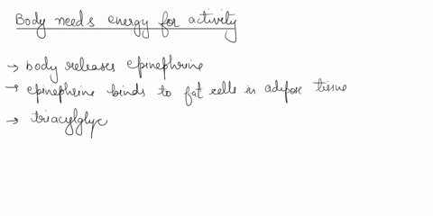 fot-mobilization-the-breakdown-of-futs-in-adipose-lissue-into-metabolic-prorlucts-that-cnter-the-bi-place-the-steps-of-fat-mobilizution-in-order-you-will-not-use-ull-of-the-steps-tt-slcps-ha-30762