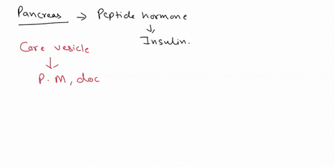 2-the-pancreas-secretes-a-tvpe-of-peptide-hormone-insulin-which-of-the-following-mechanisms-helps-secretion-of-insulin-from-the-pancreatic-cell-a-active-transport-b-facilitated-diffusion-c-d-76276