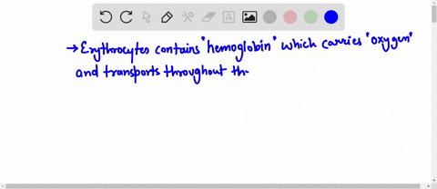 the-function-of-erythrocytes-is-to-a-transport-oxygen-throughout-the-body-b-defend-the-body-against-17734