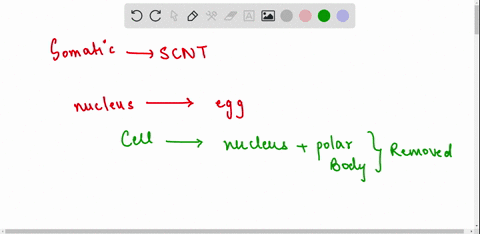 describe-the-process-of-somatic-cell-nuclear-transfer-and-how-it-is-used-to-create-cloned-cells-88321