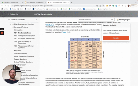 number-of-codons-which-amino-acids