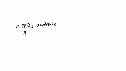 an-increase-in-the-amplitude-of-miniature-excitatory-post-synaptic-currents-is-a-reflection-of-a-the-amount-of-neurotransmitter-in-the-synaptic-cleft-b-density-of-post-synaptic-neurotransmitter-recept