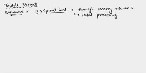 which-of-the-following-correctly-lists-the-structures-through-which-tactile-stimuli-travel-after-being-converted-into-neural-signals-a-spinal-cord-somatosensory-cortex-thalamus-b-somatosenso-94735