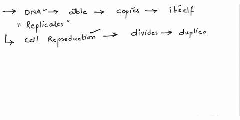 why-must-dna-be-able-to-make-copies-of-itself-93328