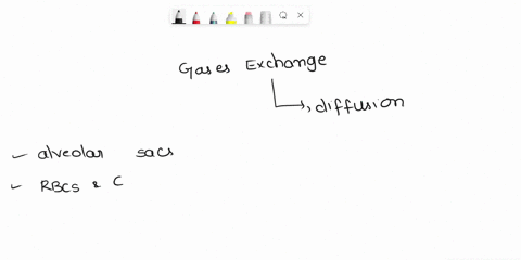 explain-gas-exchange-at-the-respiratory-membrane-and-at-the-capillaries-what-is-the-role-of-diffusion-at-the-alveolar-capillary-how-is-it-different-at-the-tissue-capillary-84072