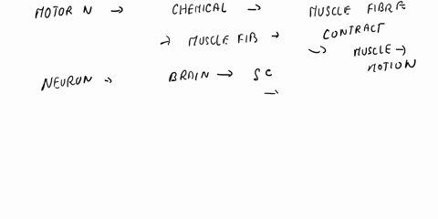 the-venom-of-many-cobras-contains-a-potent-neurotoxin-that-binds-to-ligand-gated-na-channelscausing-them-to-open-unlike-ach-which-binds-to-and-then-rapidly-unbinds-from-ligand-gated-na-chann-48093