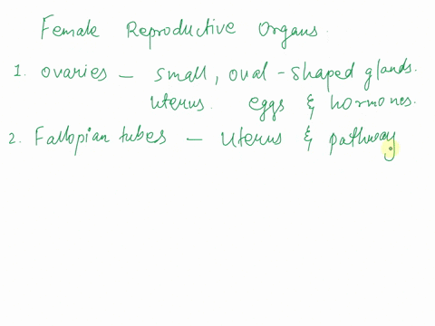 describe-the-structure-and-function-of-the-female-reproductive-organs-72998