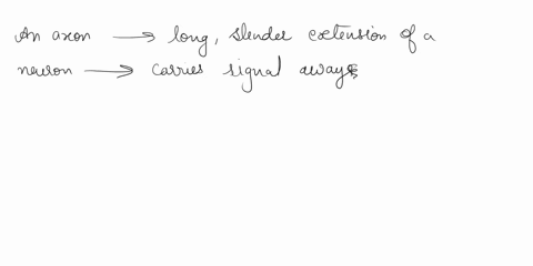the-large-extension-of-a-neuron-that-carries-signal-away-from-the-neuron-cell-bady-an-action-potential-an-axon-synaptic-terminal-a-glial-ccll-dendrite-59116