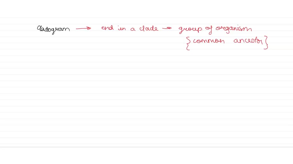 SOLVED: Historically, whales and hippos have been classified in