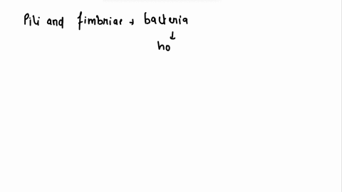 pathogenic-bacteria-attach-to-host-cells-using-a-pili-b-fimbriae-c-flagella-d-capsomere-proteins-87732
