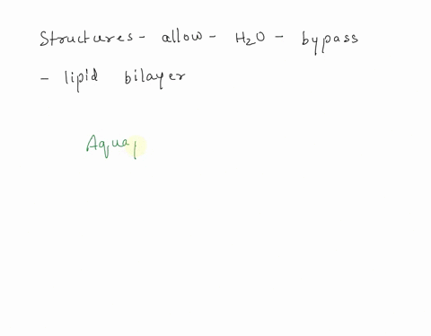 which-structure-allows-water-to-bypass-the-phospholipid-bilayer-of-the-cell-membrane-09033