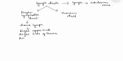 question-1-which-is-not-drained-by-the-right-lymphatic-duct-o-right-arm-right-shoulder-o-right-side-of-abdomen-o-right-side-of-head-and-neck-right-side-of-thorax-question-2-identify-the-laye-84471