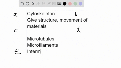 which-of-the-following-is-not-a-component-of-the-cytoskeleton-a-microtubules-b-actins-c-microfilam-2-70206